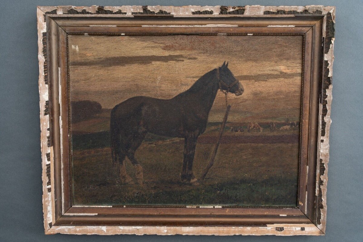 19th Century Oil On Panel Representing A Horse