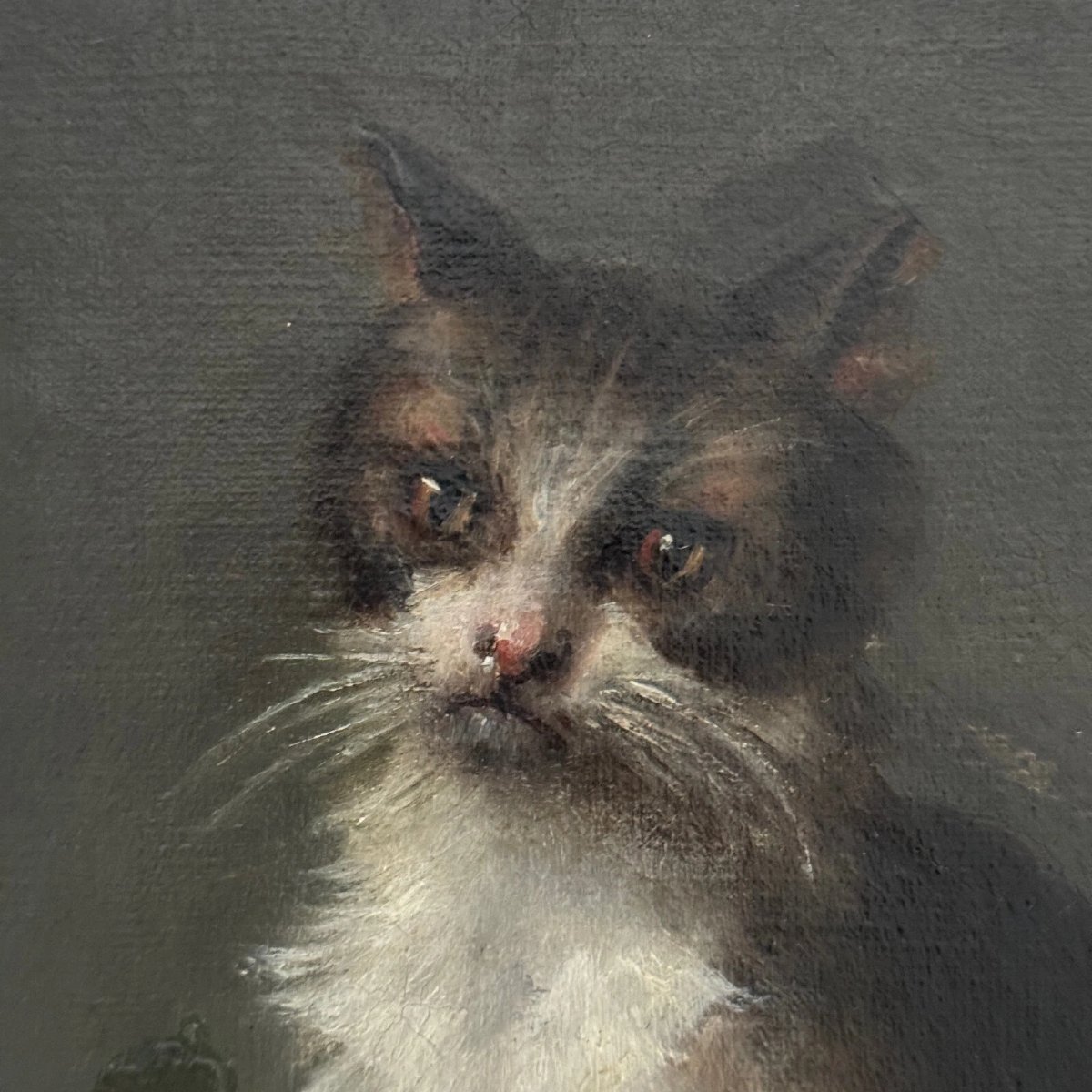 Oil On Canvas Portrait Of A Cat Signed Henriette Barry 1899-photo-4