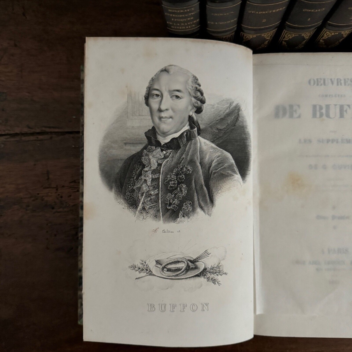 Œuvres Complètes de Buffon 7 tomes avec gravures-photo-3