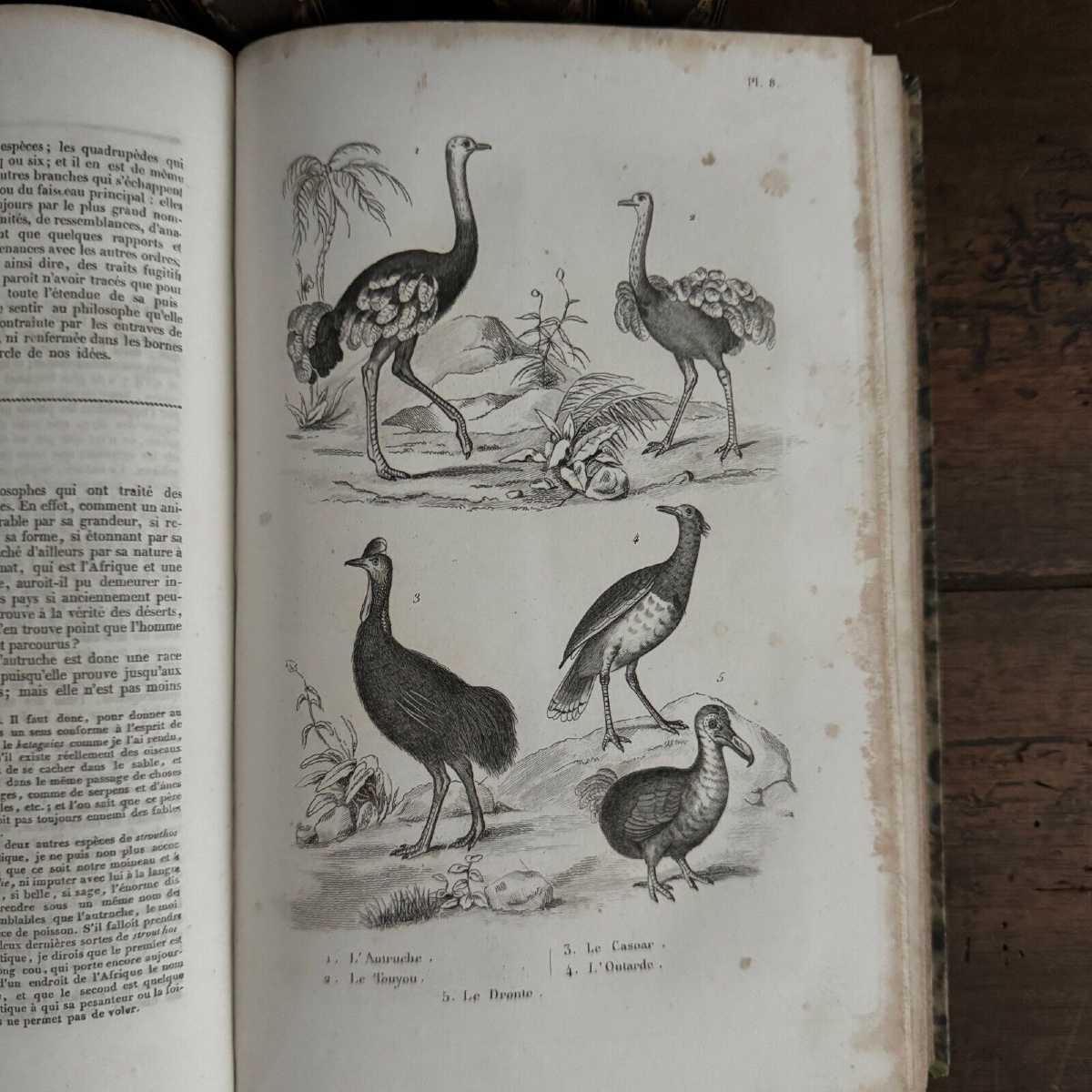 Œuvres Complètes de Buffon 7 tomes avec gravures-photo-6