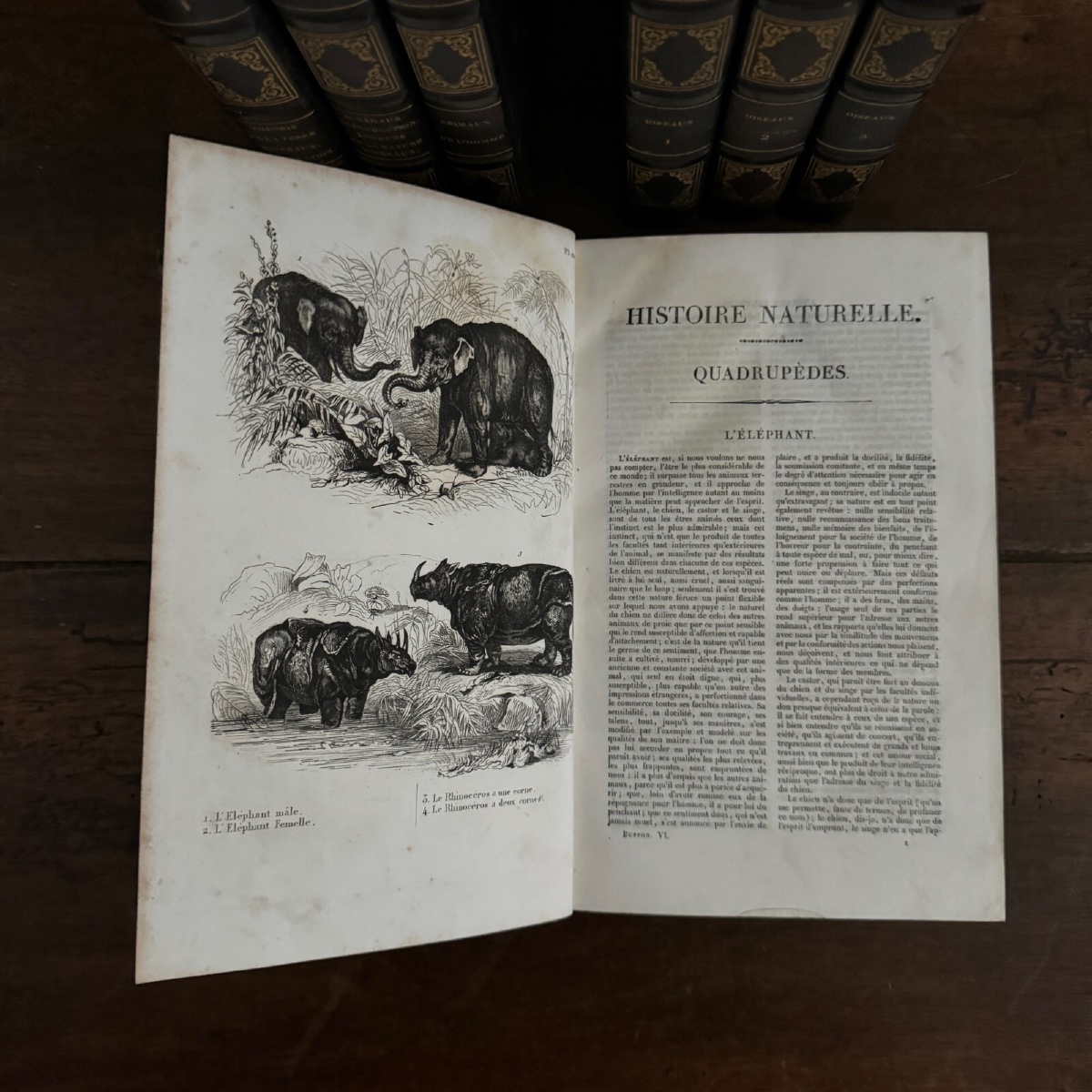 Œuvres Complètes de Buffon 7 tomes avec gravures-photo-7