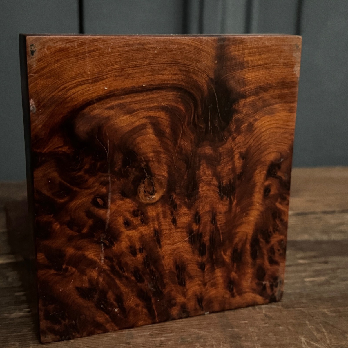 Pair Of 1950s Art Deco Burl Bookends-photo-4