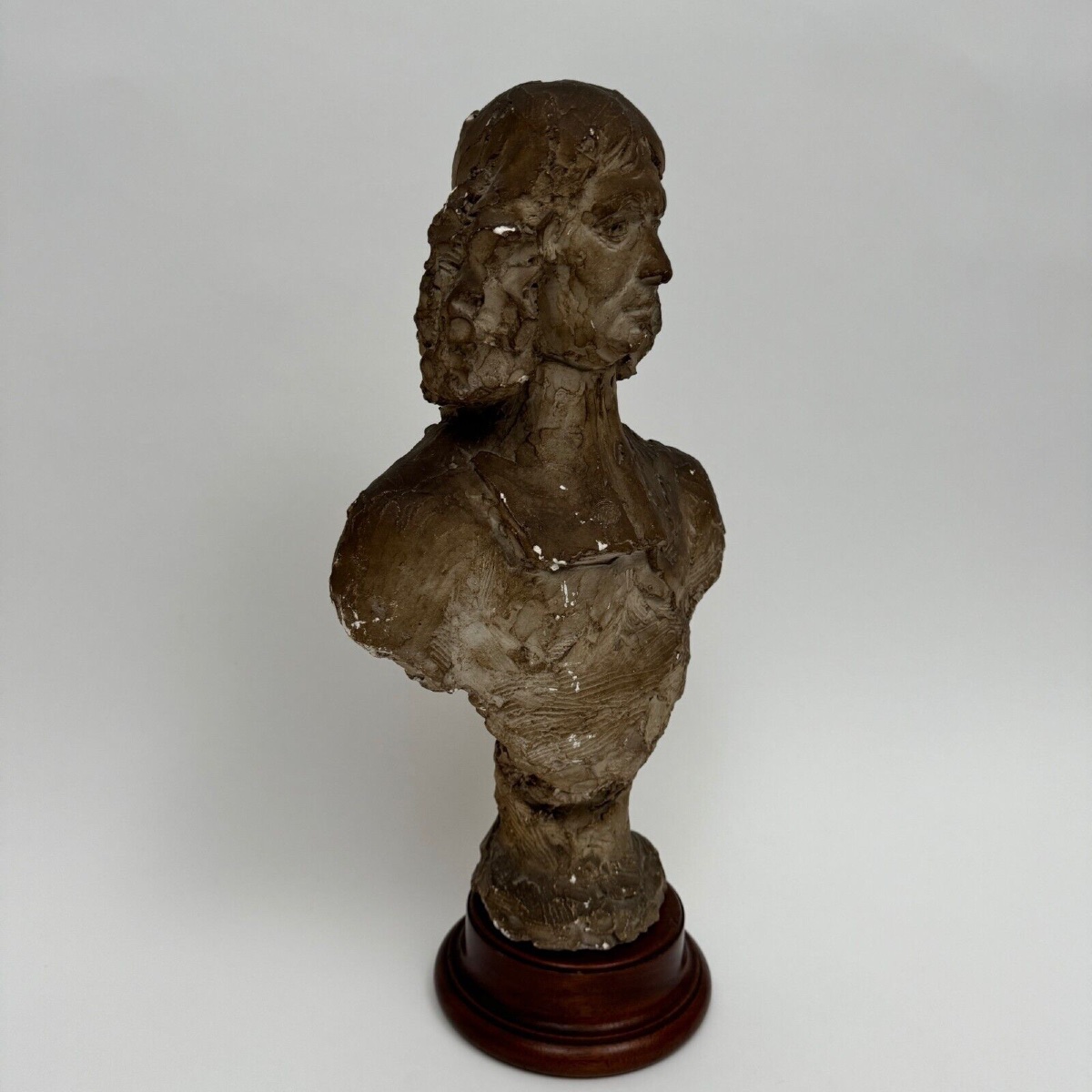 Patinated Plaster Bust From The Charles Filleul Workshop, 20th Century, Representing A Man-photo-2