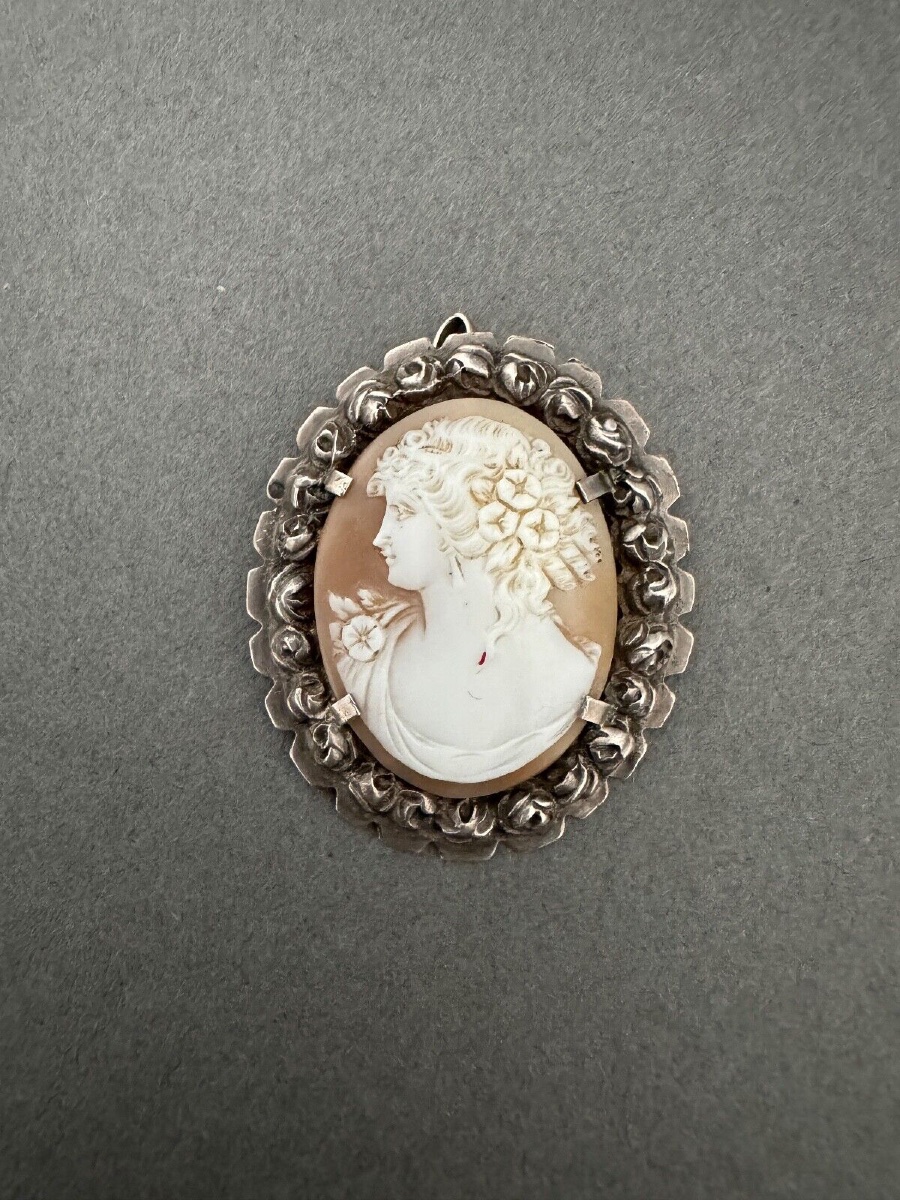 Late 19th Century Cameo Brooch Depicting The Profile Of A Woman In Antique Style-photo-4