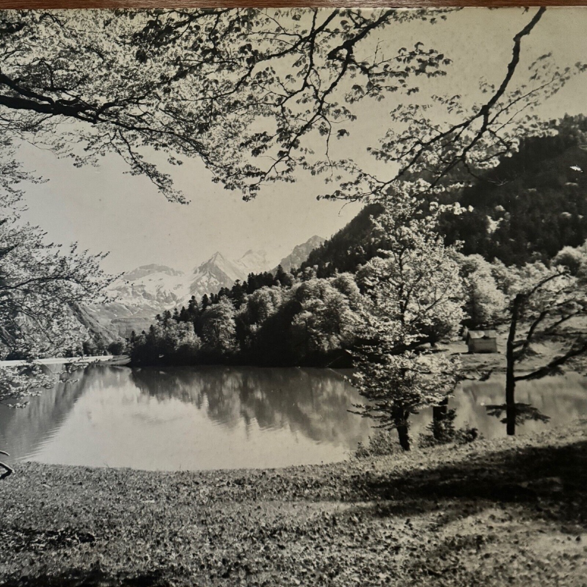 Photo sur un panneau de bois paysage de montagne 1960-photo-3