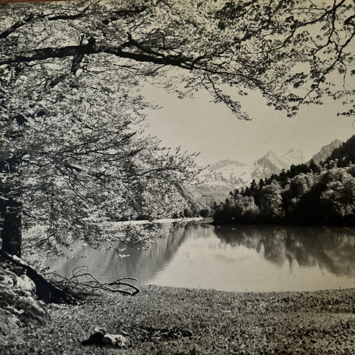 Photo sur un panneau de bois paysage de montagne 1960-photo-4