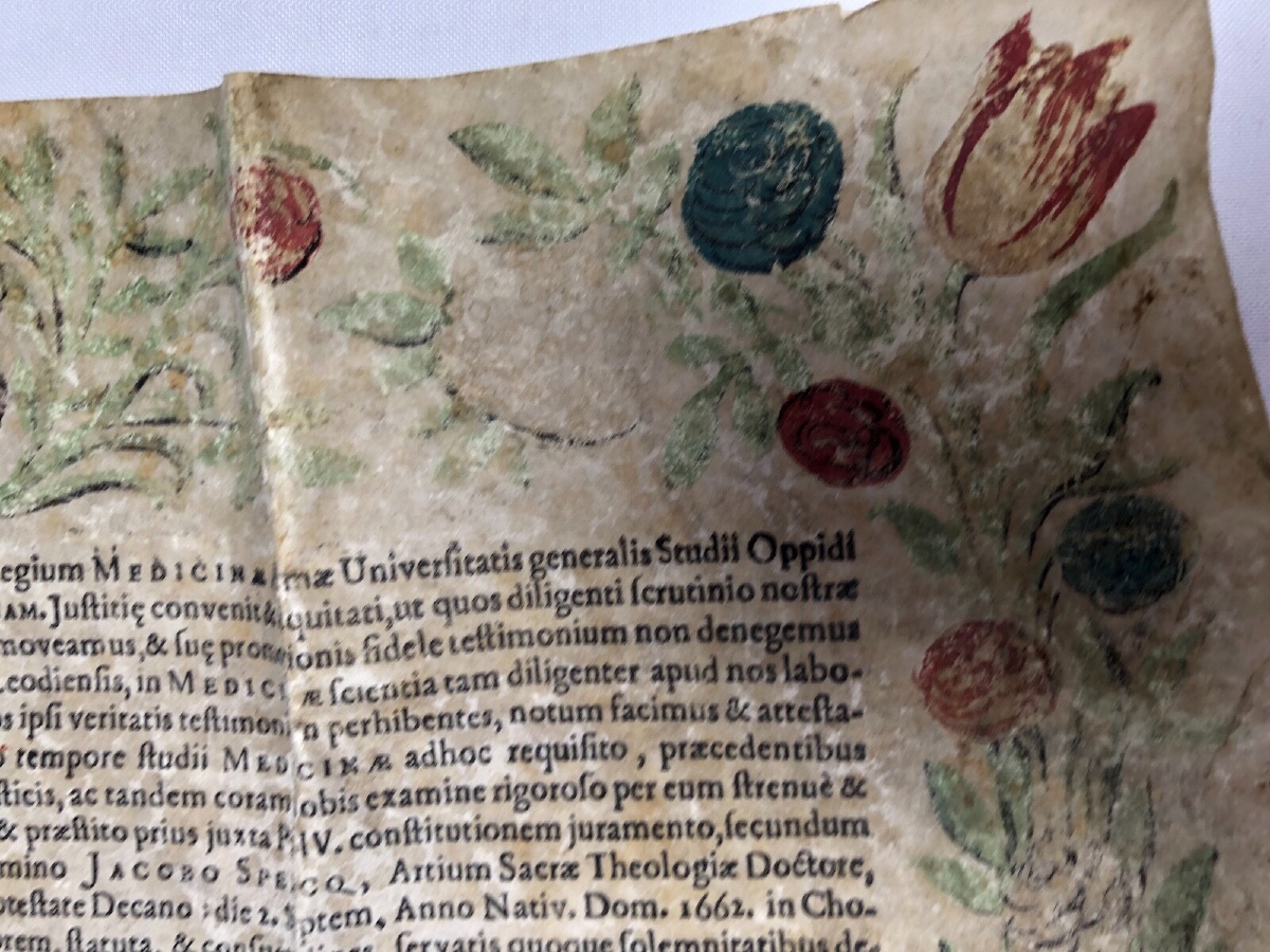 Handwritten Parchment Diploma Faculty Of Medicine Joannes De Resimont-photo-1