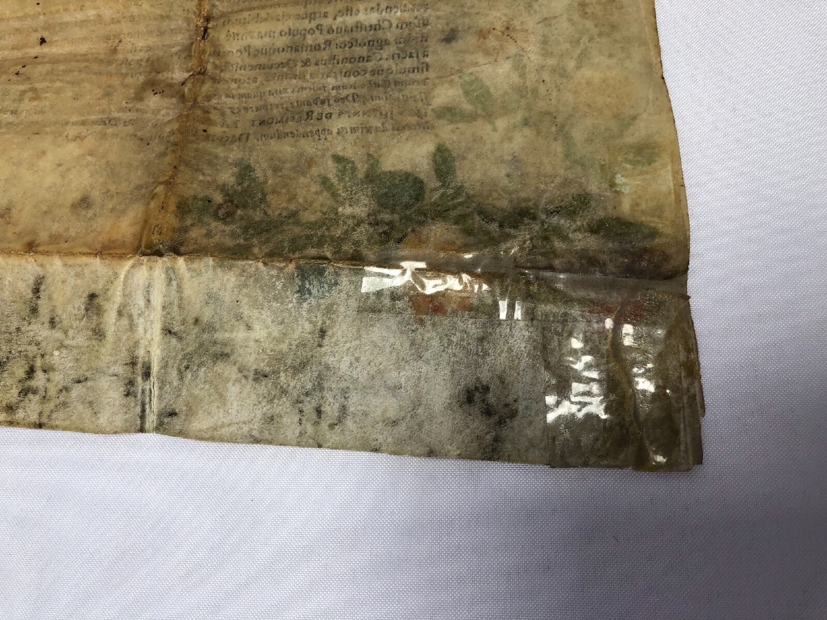 Handwritten Parchment Diploma Faculty Of Medicine Joannes De Resimont-photo-5