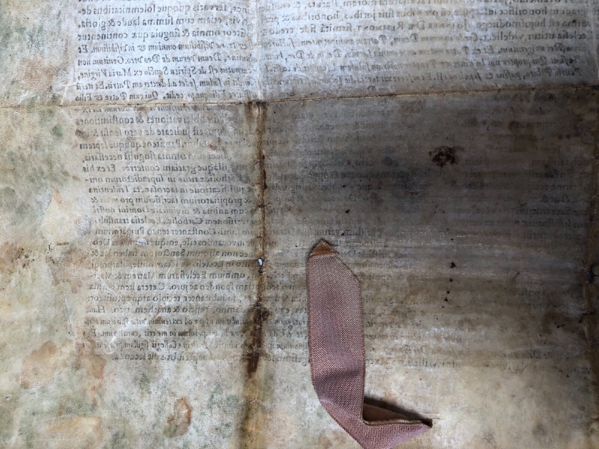 Handwritten Parchment Diploma Faculty Of Medicine Joannes De Resimont-photo-6