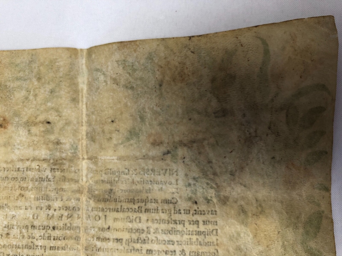Handwritten Parchment Diploma Faculty Of Medicine Joannes De Resimont-photo-7