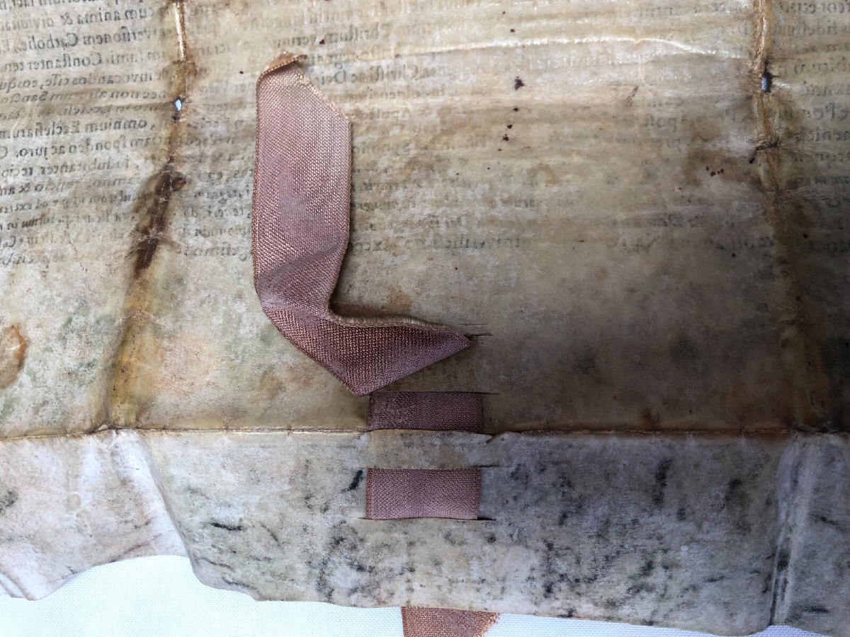 Handwritten Parchment Diploma Faculty Of Medicine Joannes De Resimont-photo-8
