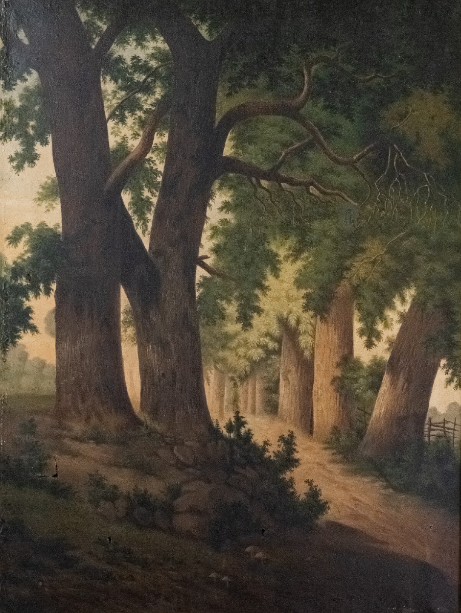 Oil On Canvas, Undergrowth Scene, Early 20th Century-photo-2