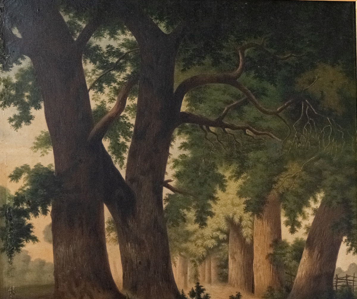 Oil On Canvas, Undergrowth Scene, Early 20th Century-photo-3