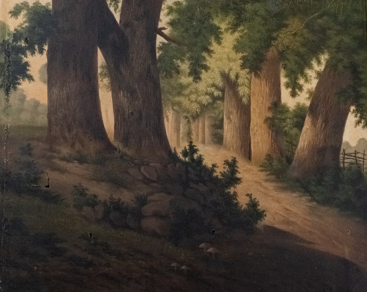 Oil On Canvas, Undergrowth Scene, Early 20th Century-photo-4