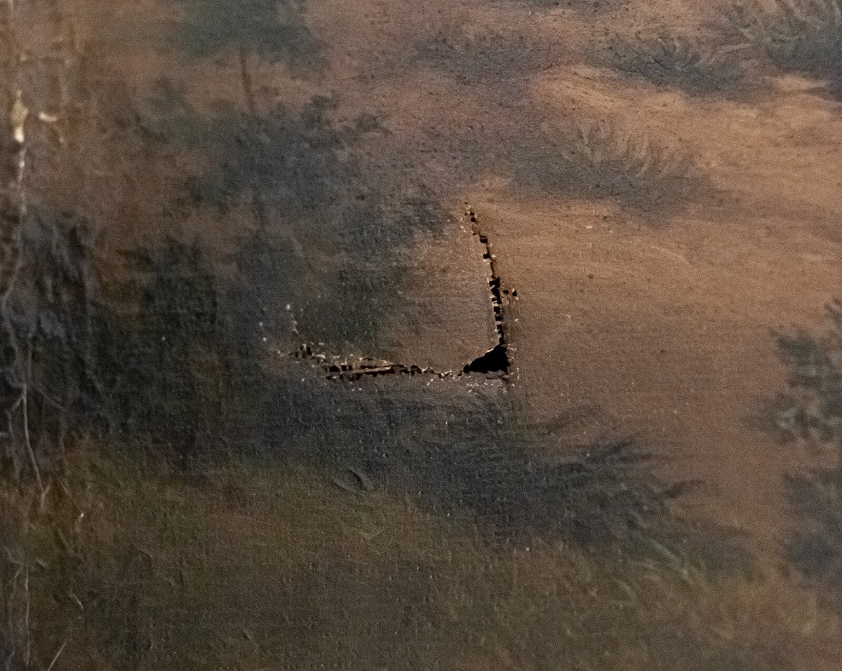 Oil On Canvas, Undergrowth Scene, Early 20th Century-photo-1