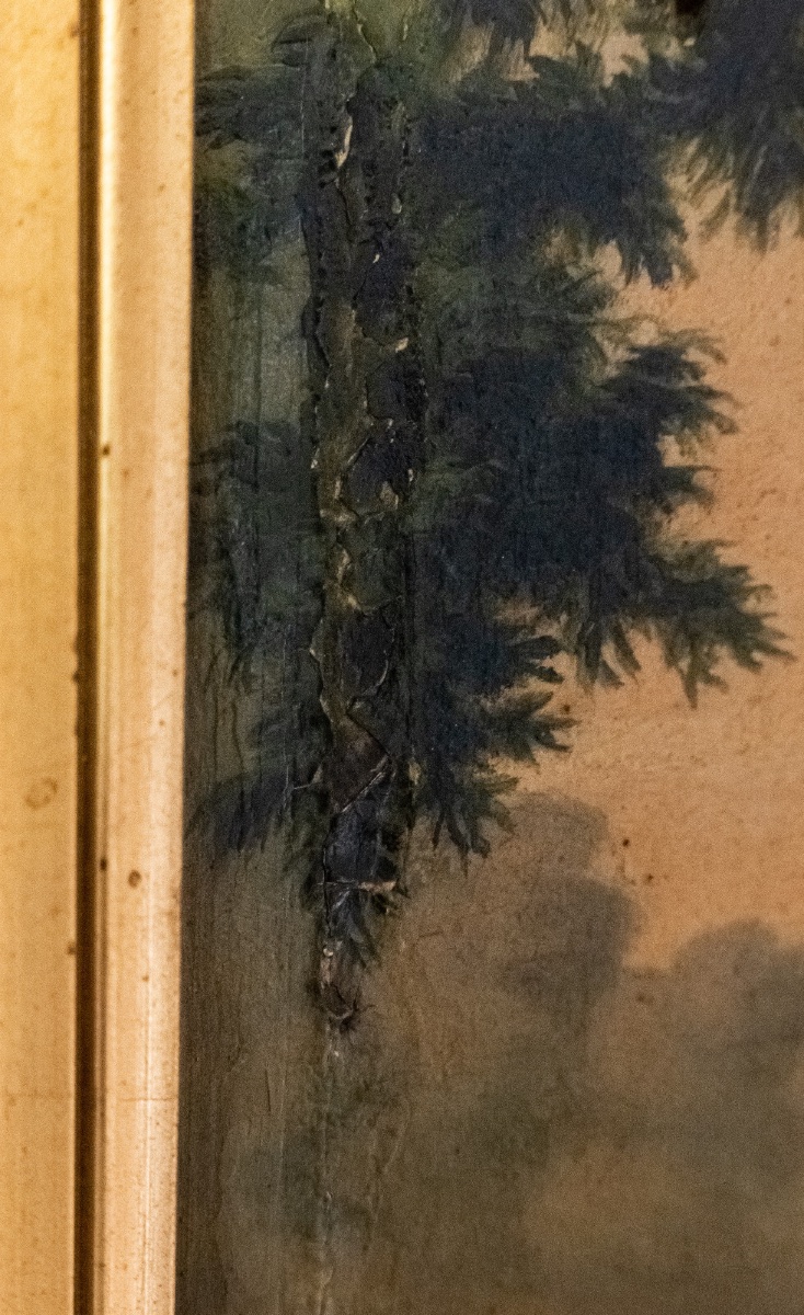 Oil On Canvas, Undergrowth Scene, Early 20th Century-photo-2