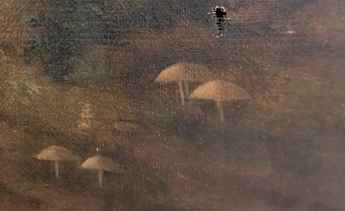 Oil On Canvas, Undergrowth Scene, Early 20th Century-photo-3