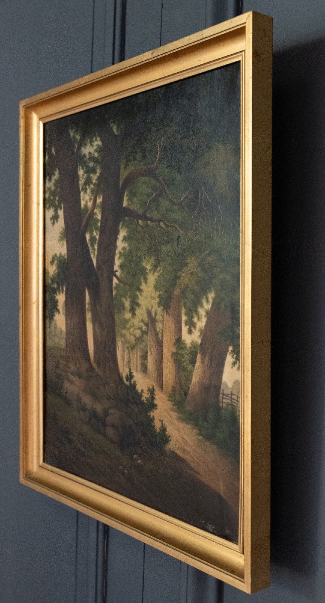 Oil On Canvas, Undergrowth Scene, Early 20th Century-photo-4