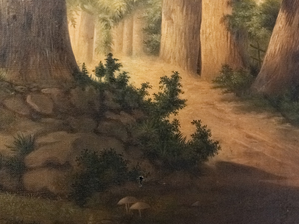 Oil On Canvas, Undergrowth Scene, Early 20th Century-photo-5