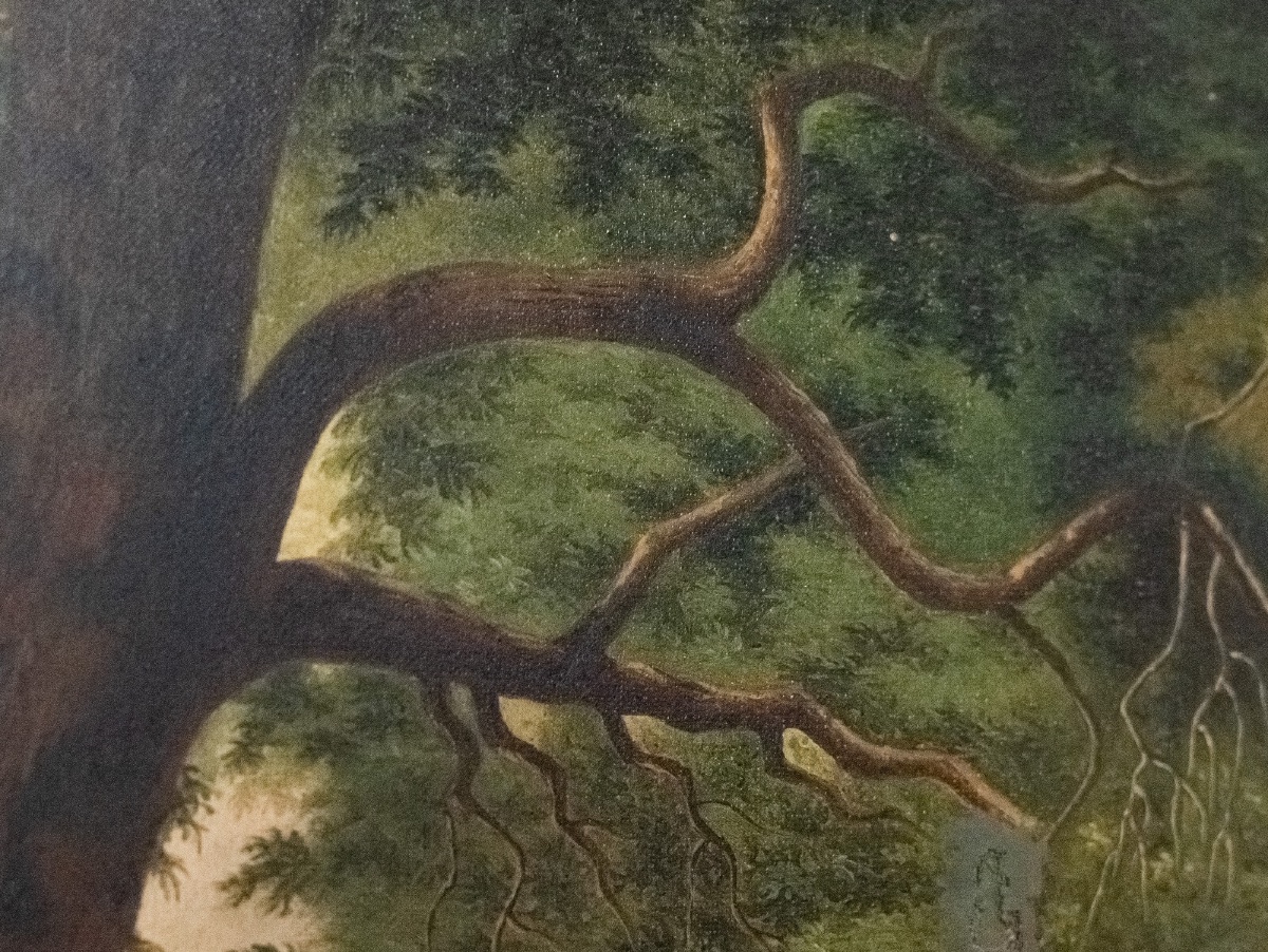 Oil On Canvas, Undergrowth Scene, Early 20th Century-photo-6