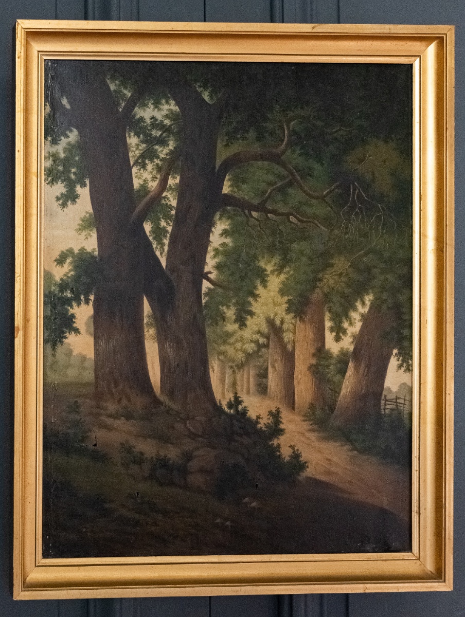 Oil On Canvas, Undergrowth Scene, Early 20th Century