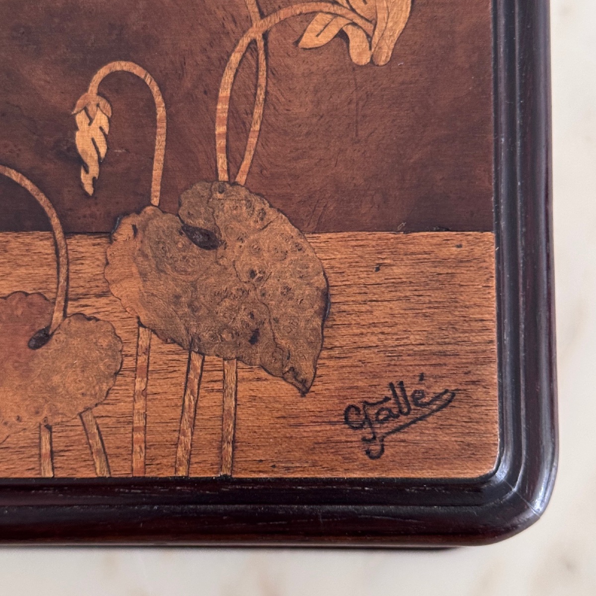 Boite à bijoux en marqueterie par Emile Gallé décor naturaliste-photo-4