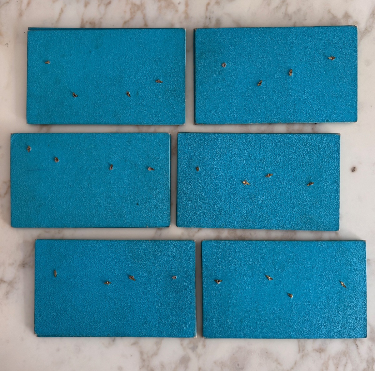 Jeu Loto Mobile Le plus Amusant des Lotos fin XIXe-photo-1