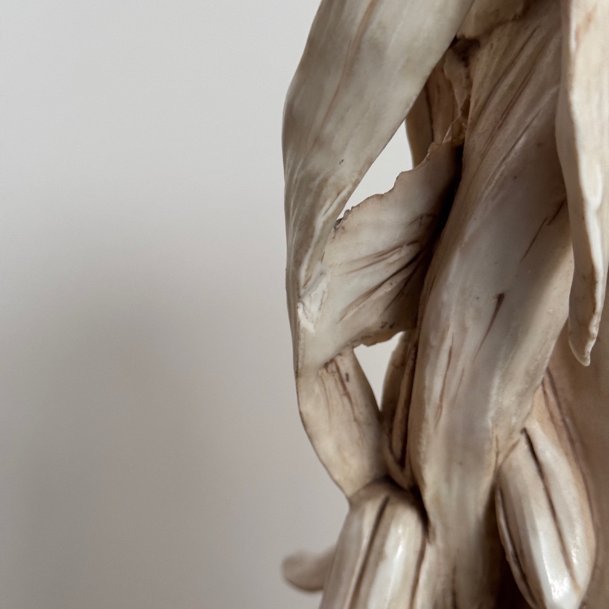 Buste en céramique Art Nouveau 1900 Royal Dux Bohemia -photo-5