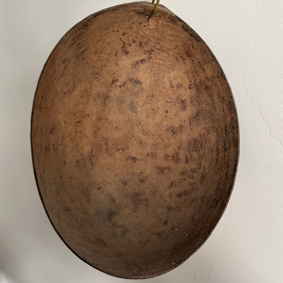 Carved Calabash Nut With Warrior Flowers, Oceania, Early 20th Century-photo-1