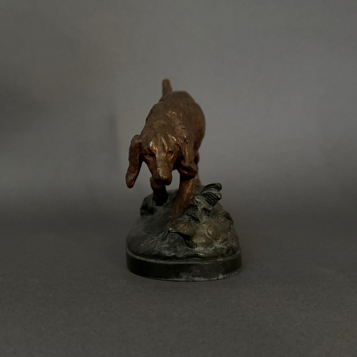19th-century Bronze Hunting Dog With Double Patina By Prosper Lecourtier-photo-2
