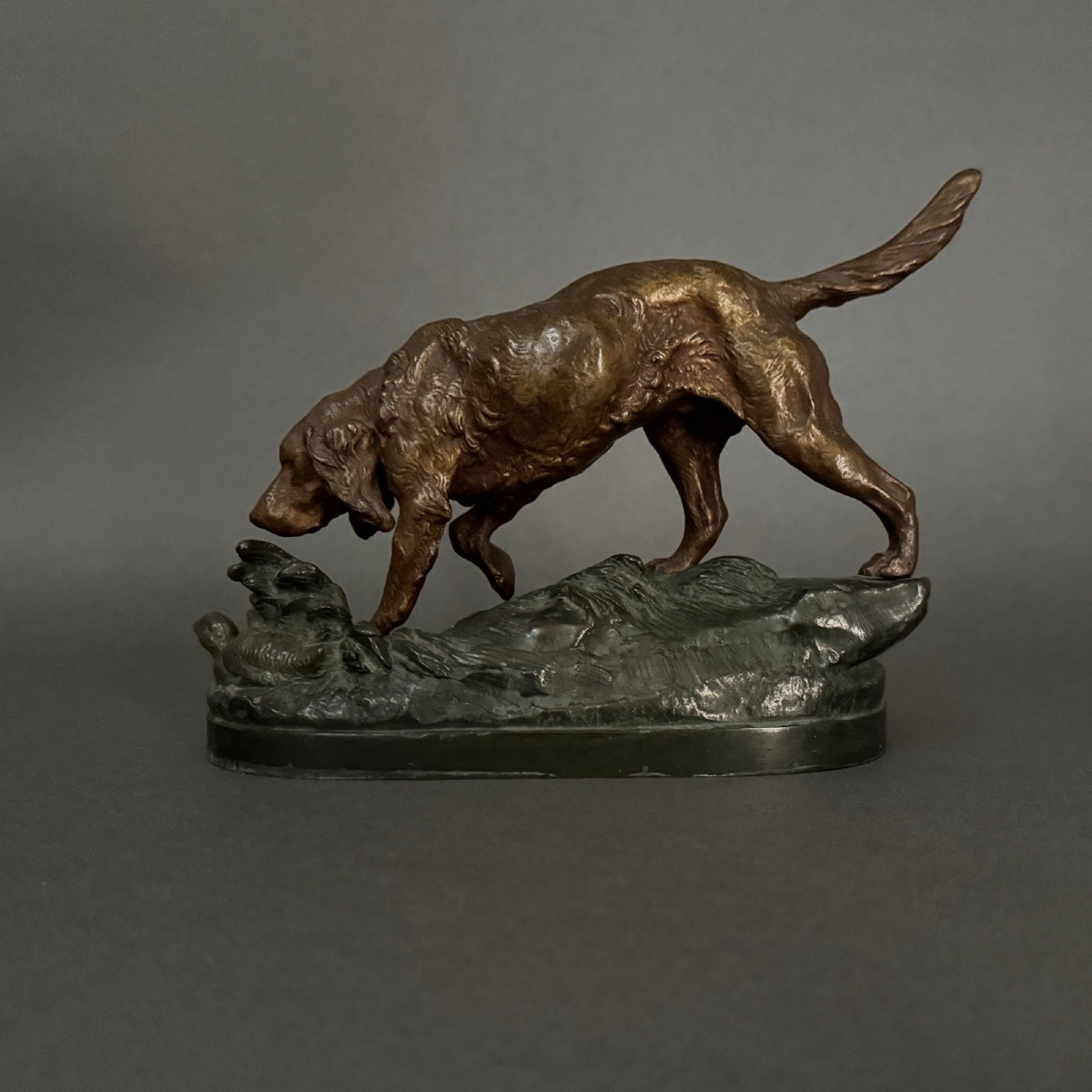 19th-century Bronze Hunting Dog With Double Patina By Prosper Lecourtier-photo-3