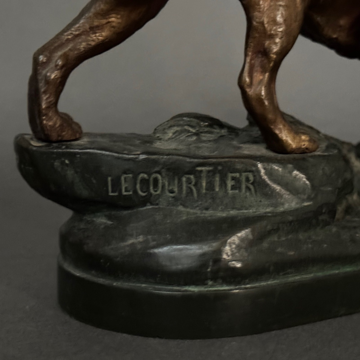 19th-century Bronze Hunting Dog With Double Patina By Prosper Lecourtier-photo-2