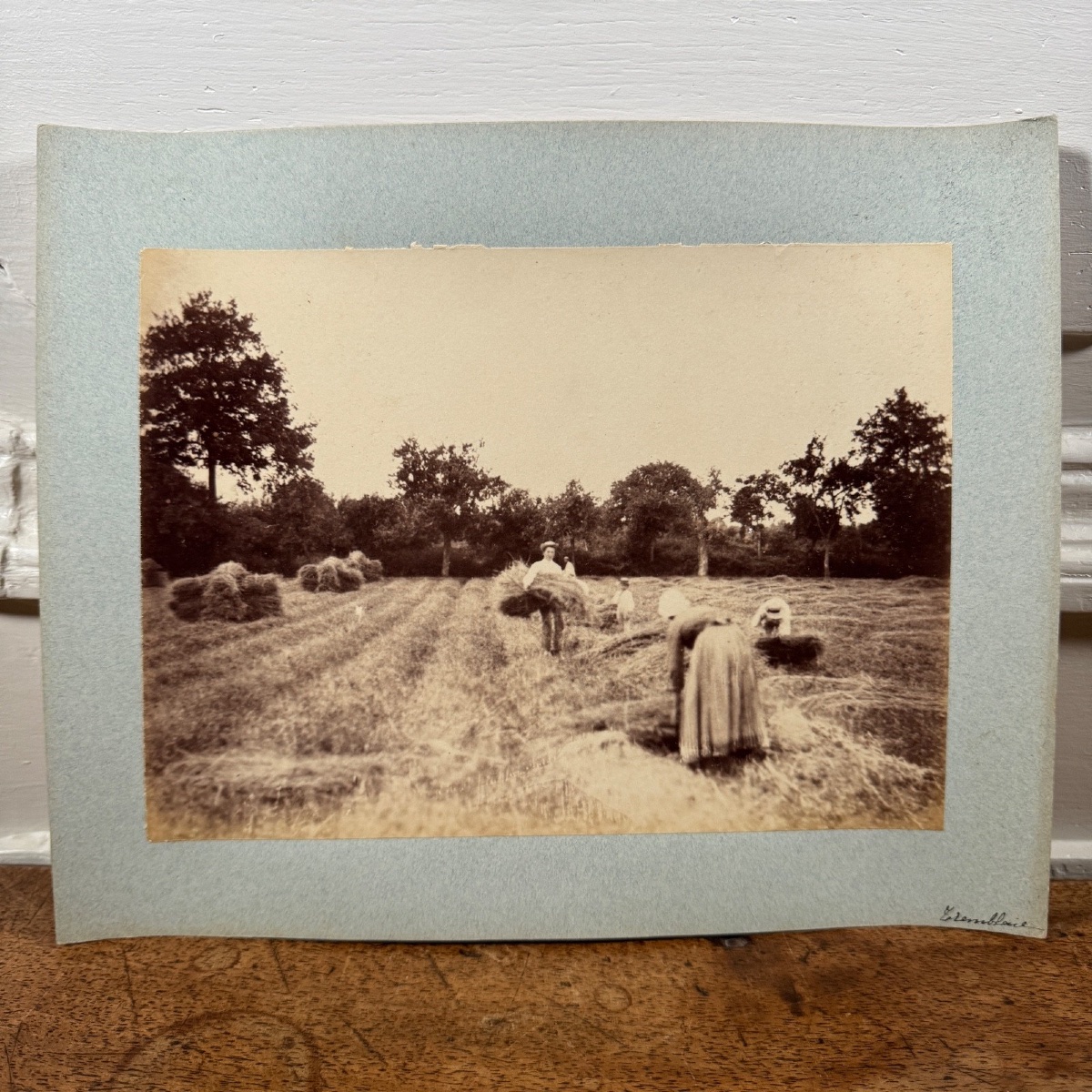 Albumen Print Mounted On Cardboard, Harvest Scene, 19th Century-photo-2