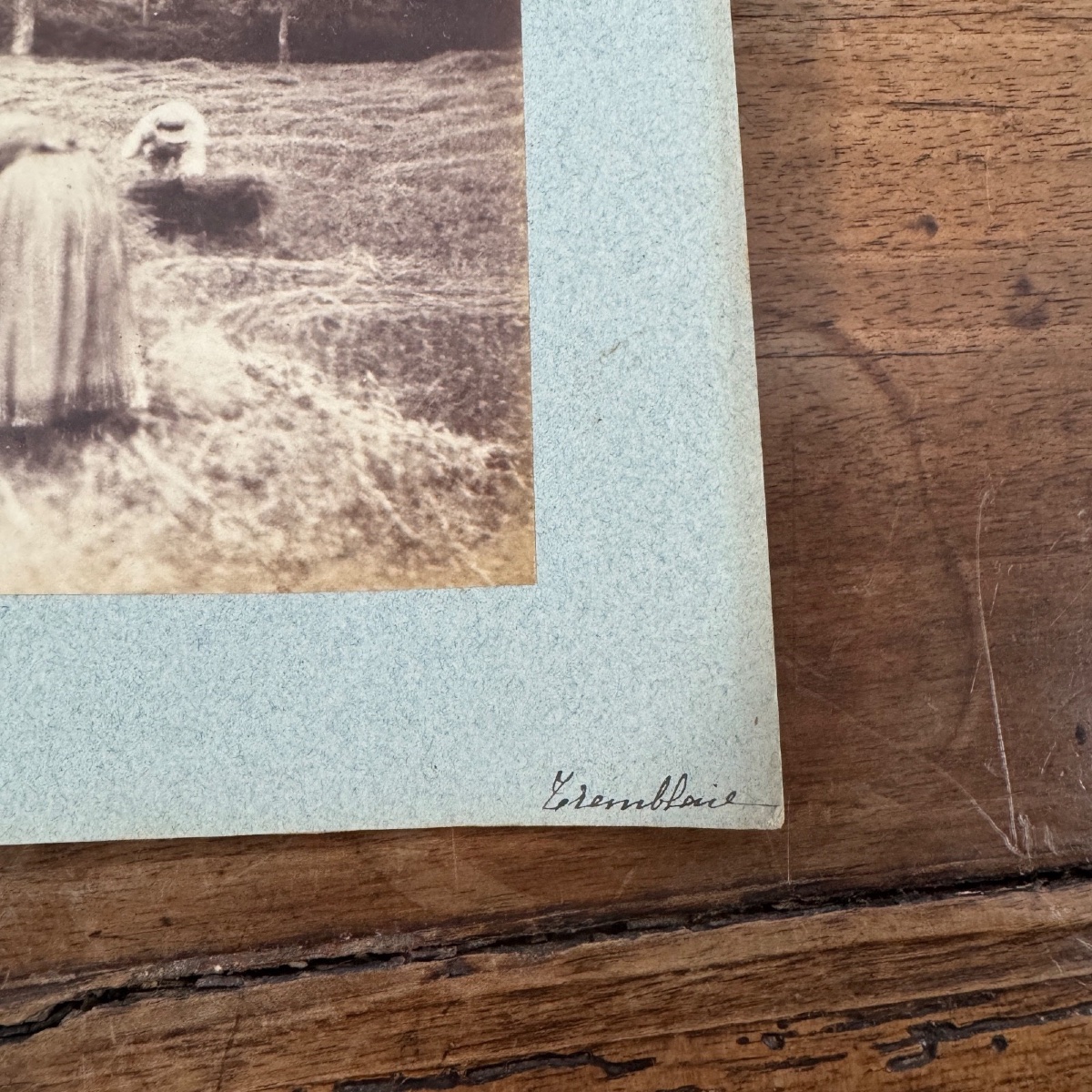 Albumen Print Mounted On Cardboard, Harvest Scene, 19th Century-photo-3