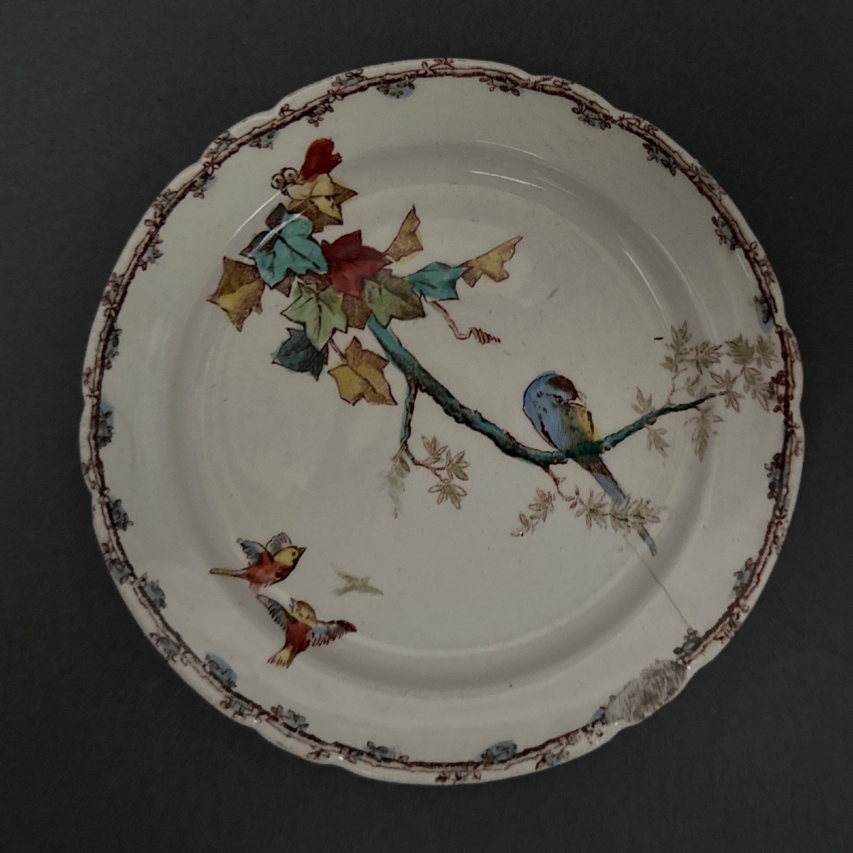 19-piece Choisy-le-roi Dinner Service With Bird And Naturalist Decoration-photo-7