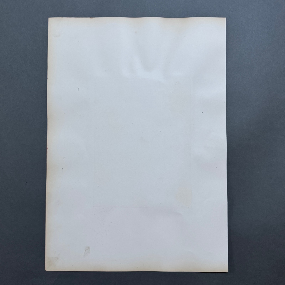 Photo albumine représentant Psyché de Capoue Musée de Naples XIXe -photo-2