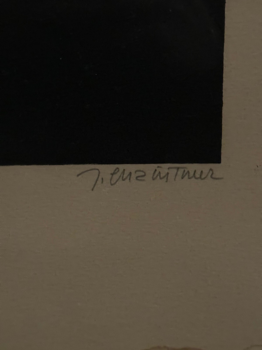 Lithographie contresignée par J. Enzathur 48/100 composition moderne-photo-3