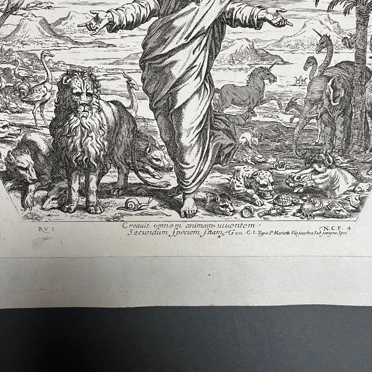 Gravure XVIIe par Nicolas Chaperon La Création des Animaux-photo-3