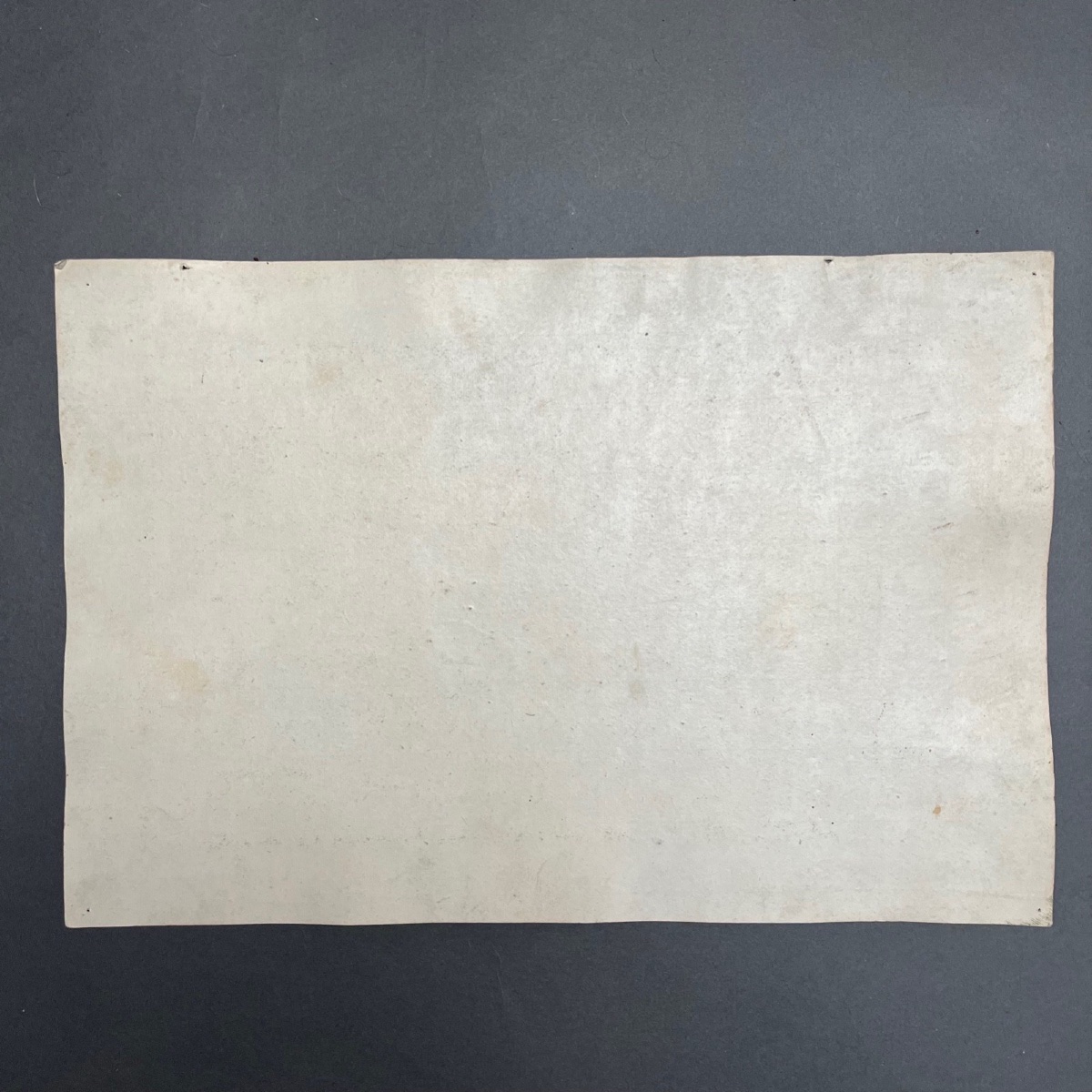 Gravure XVIIe par Nicolas Chaperon La Création des Animaux-photo-4