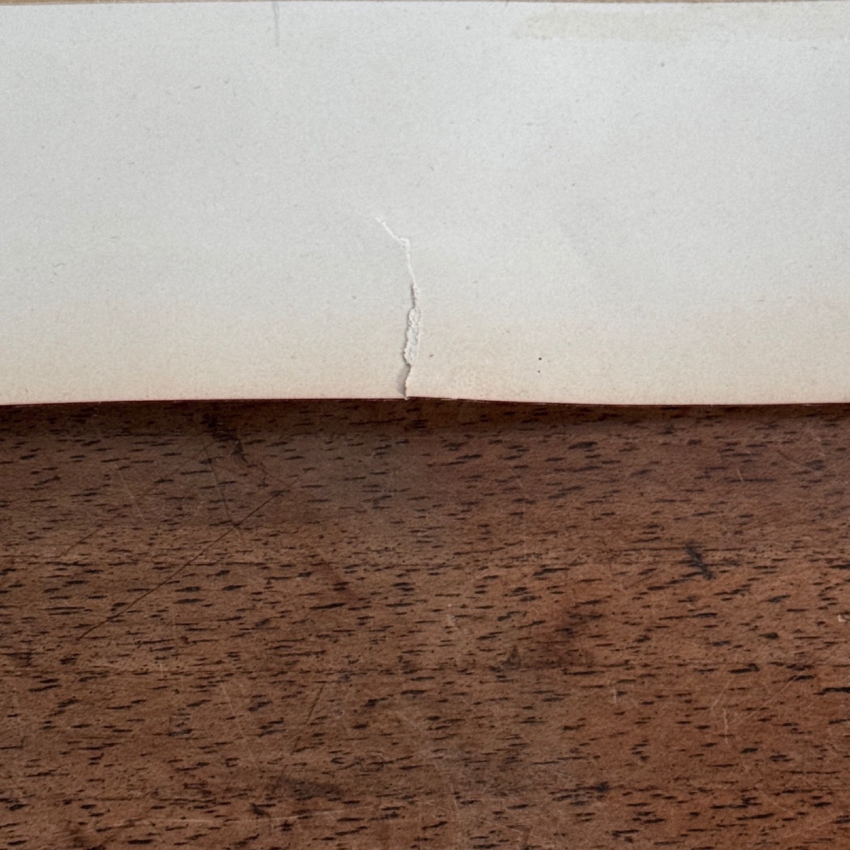 Photo albumine contrecollée représentant l'Acropole à Athènes fin XIXe -photo-4