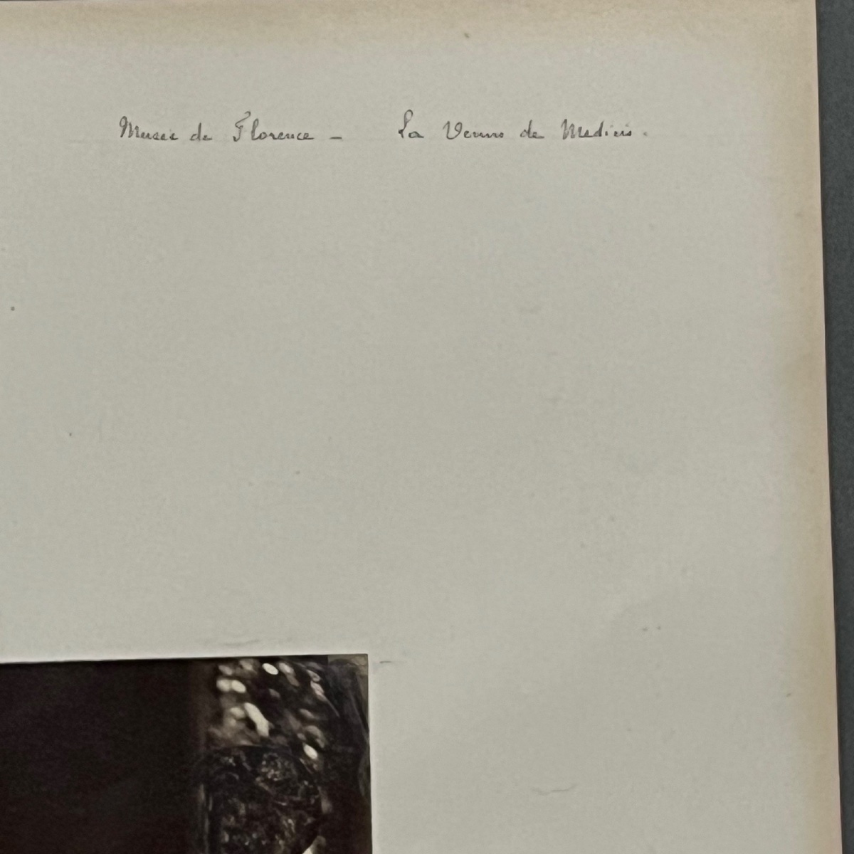 Photo albumine Musée de Florence - La Vénus de Médicis XIXe -photo-4