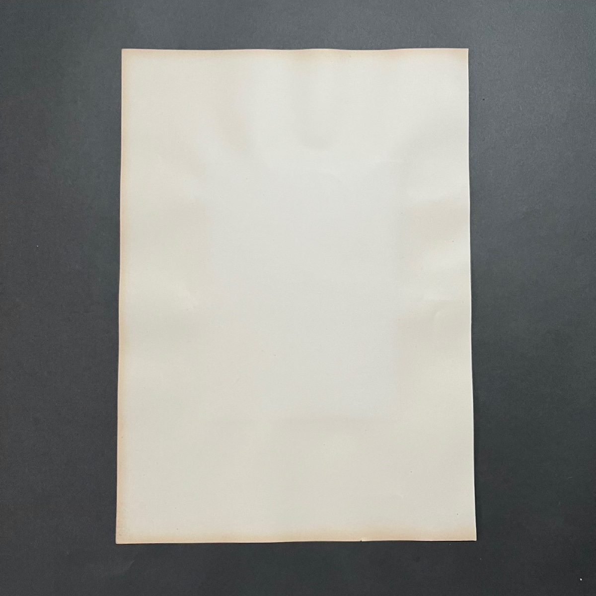 Photo albumine Musée de Florence - La Vénus de Médicis XIXe -photo-1