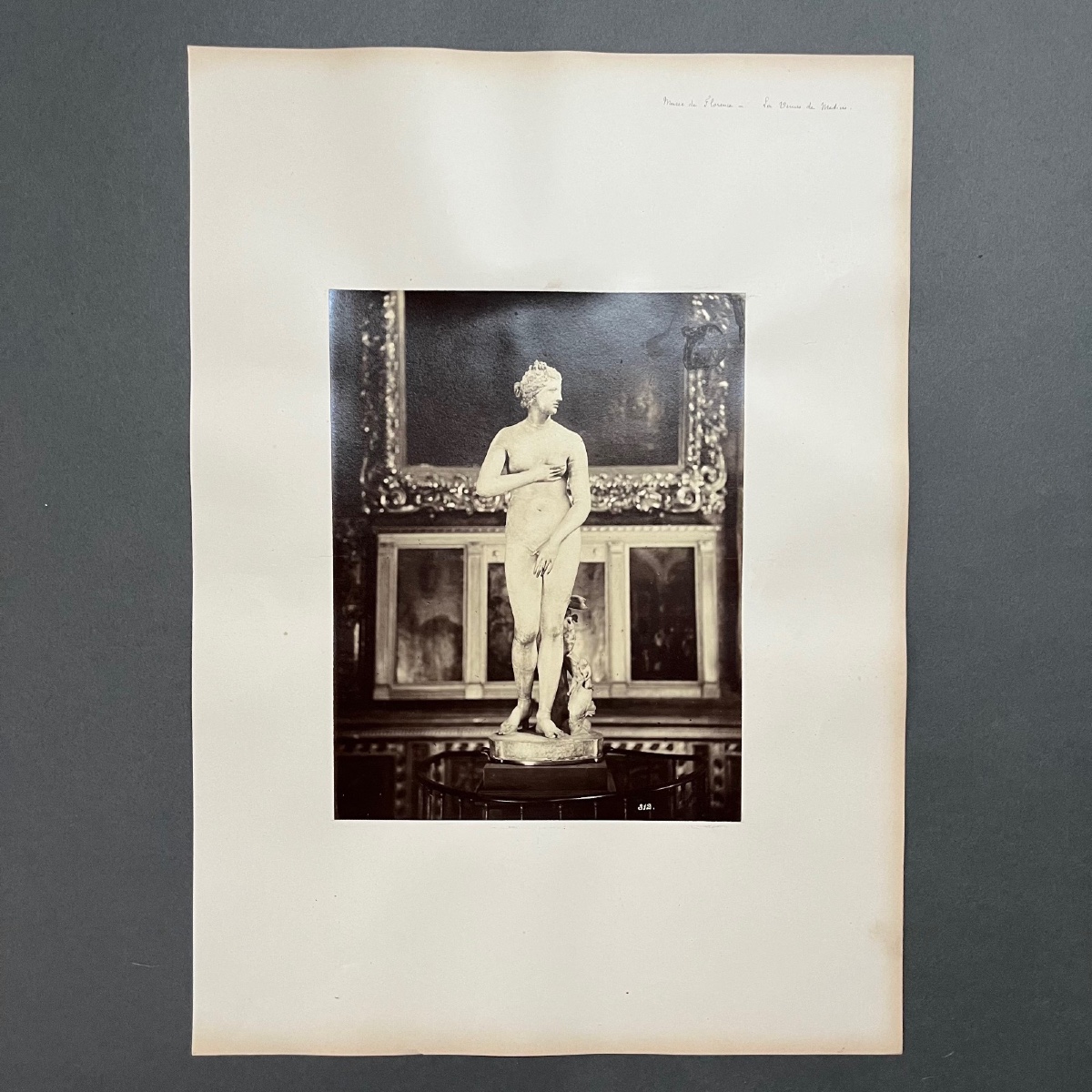 Photo albumine Musée de Florence - La Vénus de Médicis XIXe 