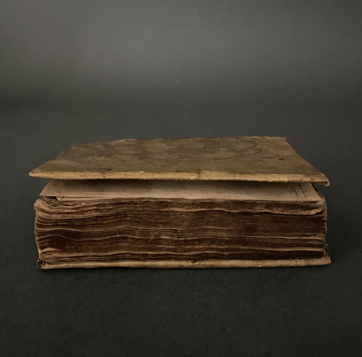 La Gallerie des Femmes Fortes 1667 Père Le Moyne Bobin Le Gras 5e édition -photo-4