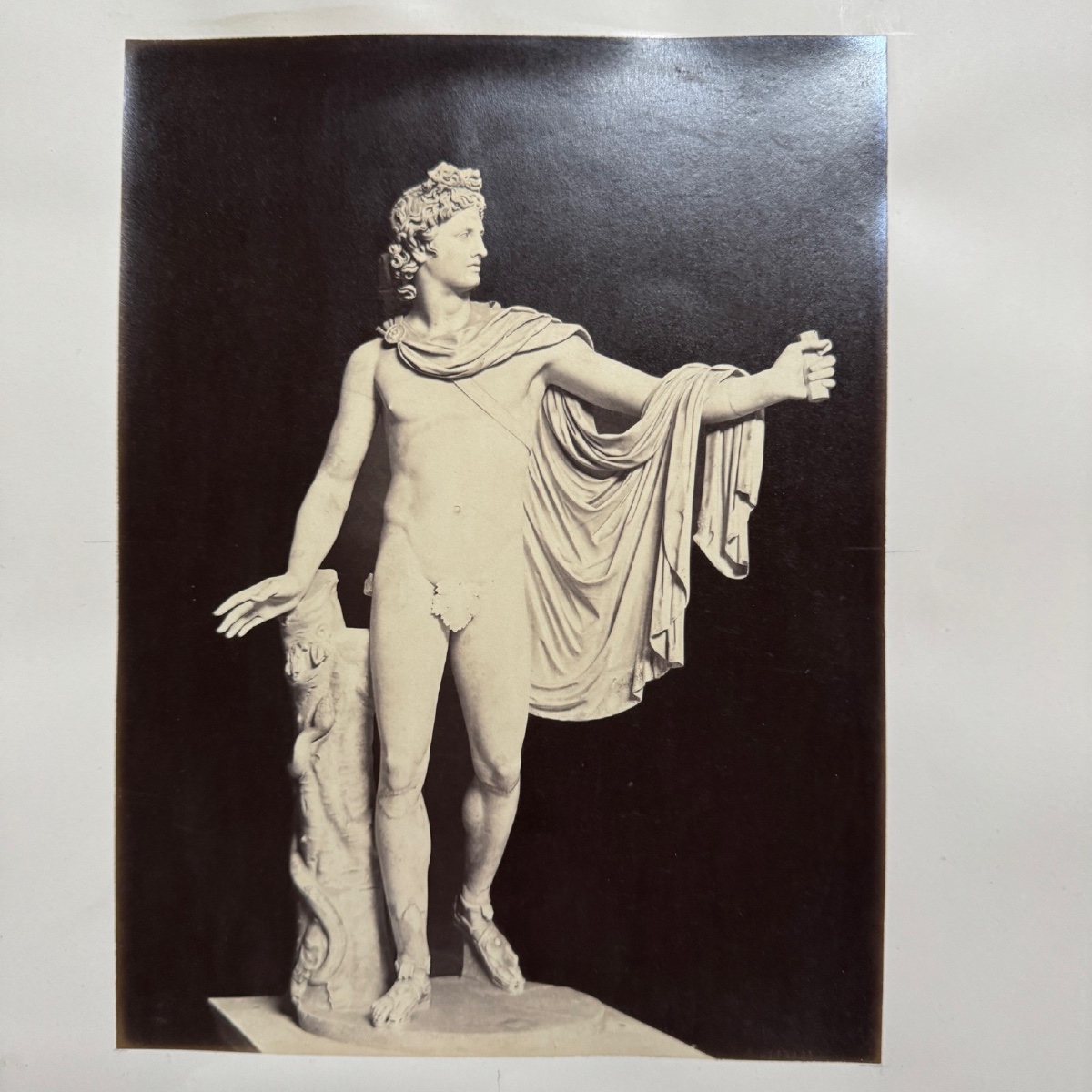 Photo albumine Rome Apollon du Belvédère Musée du Vatican 