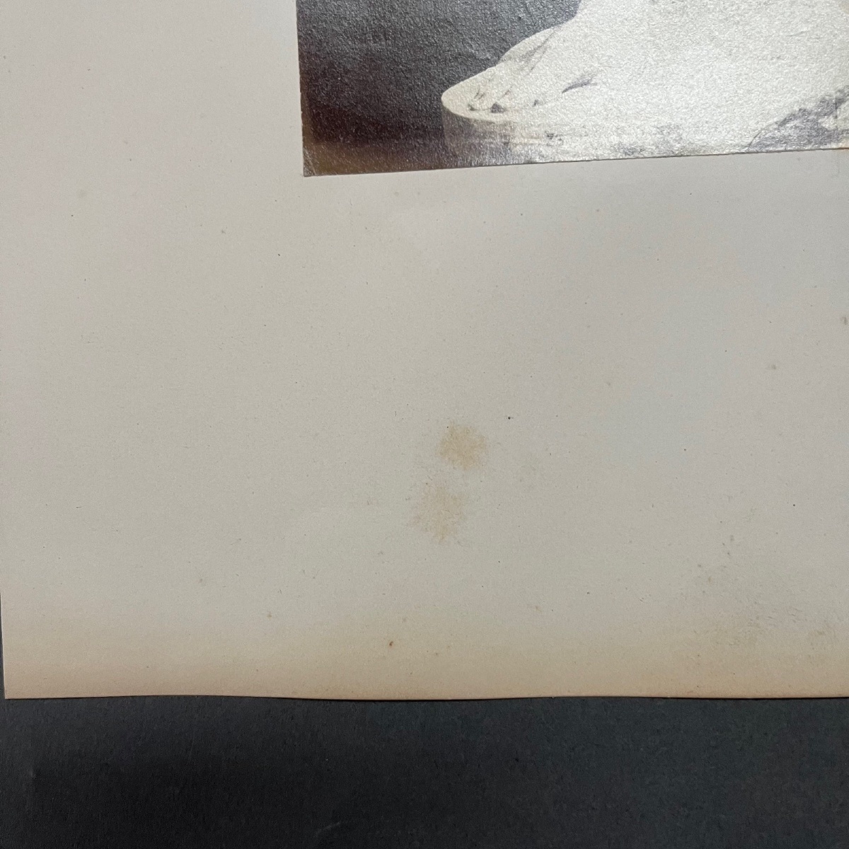 Photo albumine sculpture Damoxene Musée du Vatican XIXe -photo-4