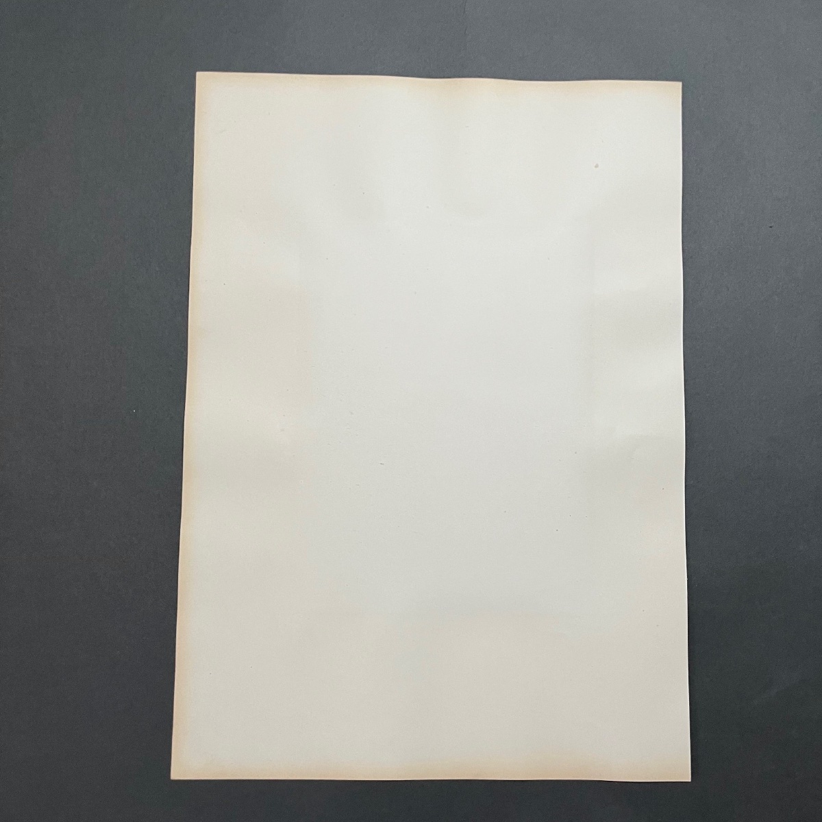 Photo albumine sculpture Damoxene Musée du Vatican XIXe -photo-1