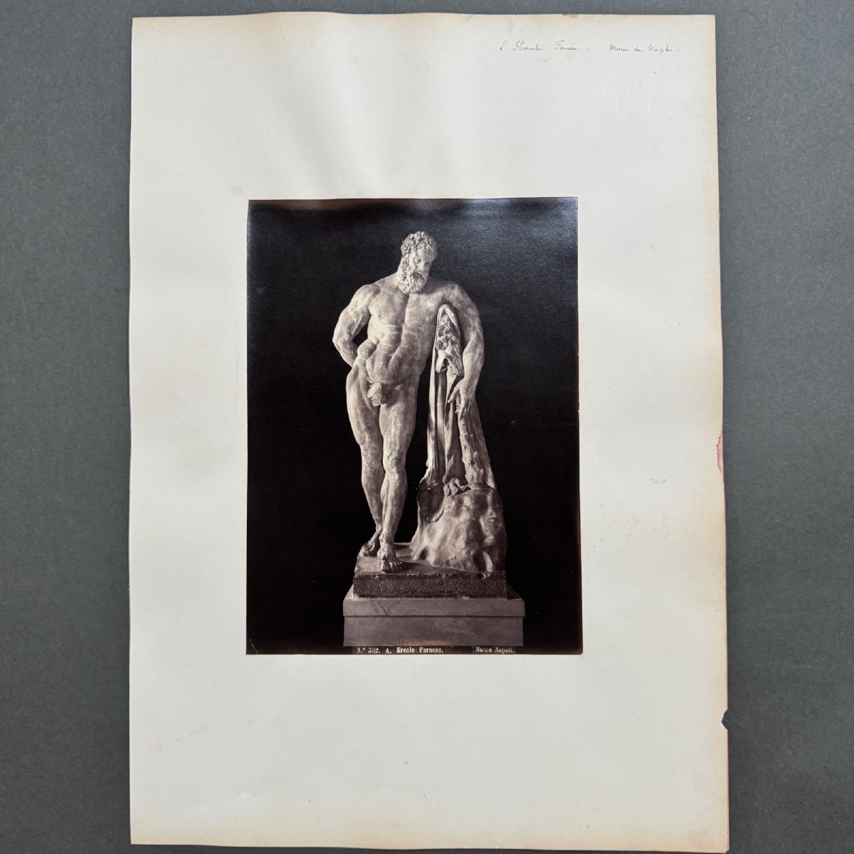 Photo albumine contrecollée sur carton représentant l'Hercule Farnèse XIXe -photo-2