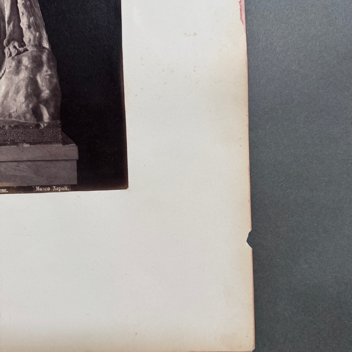 Photo albumine contrecollée sur carton représentant l'Hercule Farnèse XIXe -photo-3