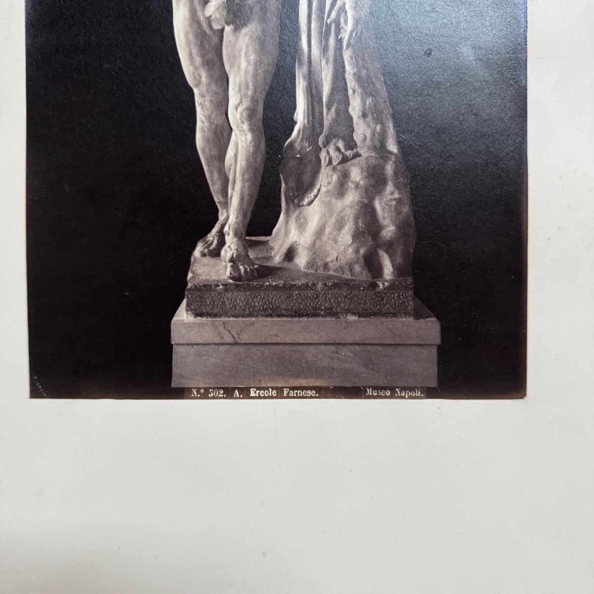 Photo albumine contrecollée sur carton représentant l'Hercule Farnèse XIXe -photo-4